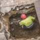 The Need for Sewer and Water Pipe Revitalization Nationwide